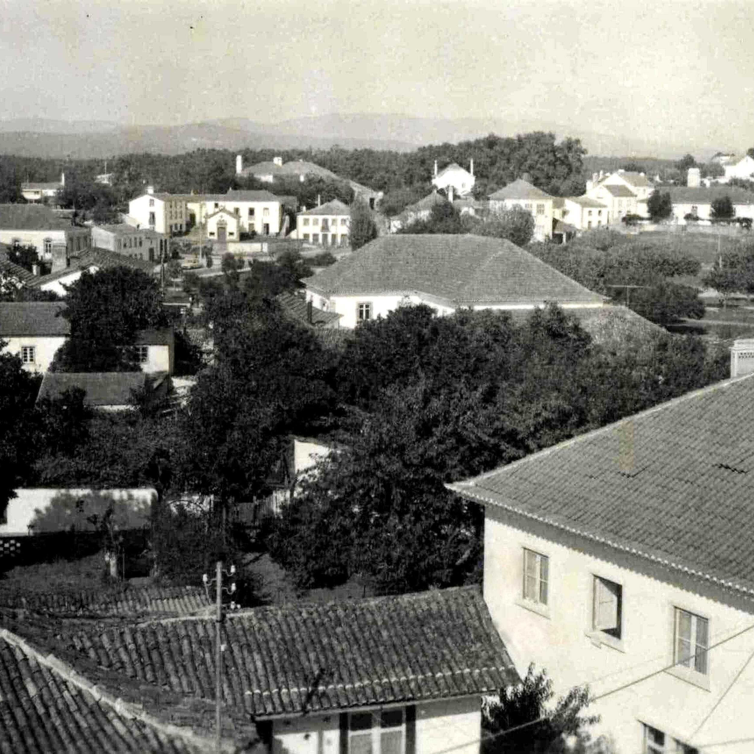 Vista Panoramica