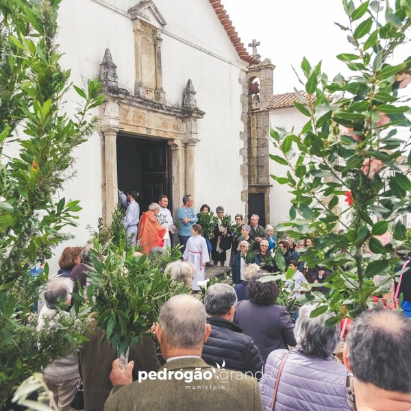 Domingo de Ramos
