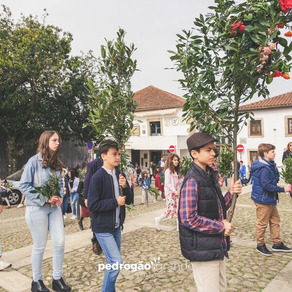 Domingo de Ramos