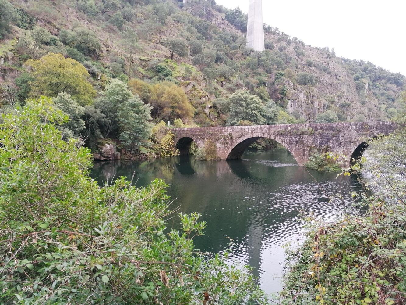 ponte