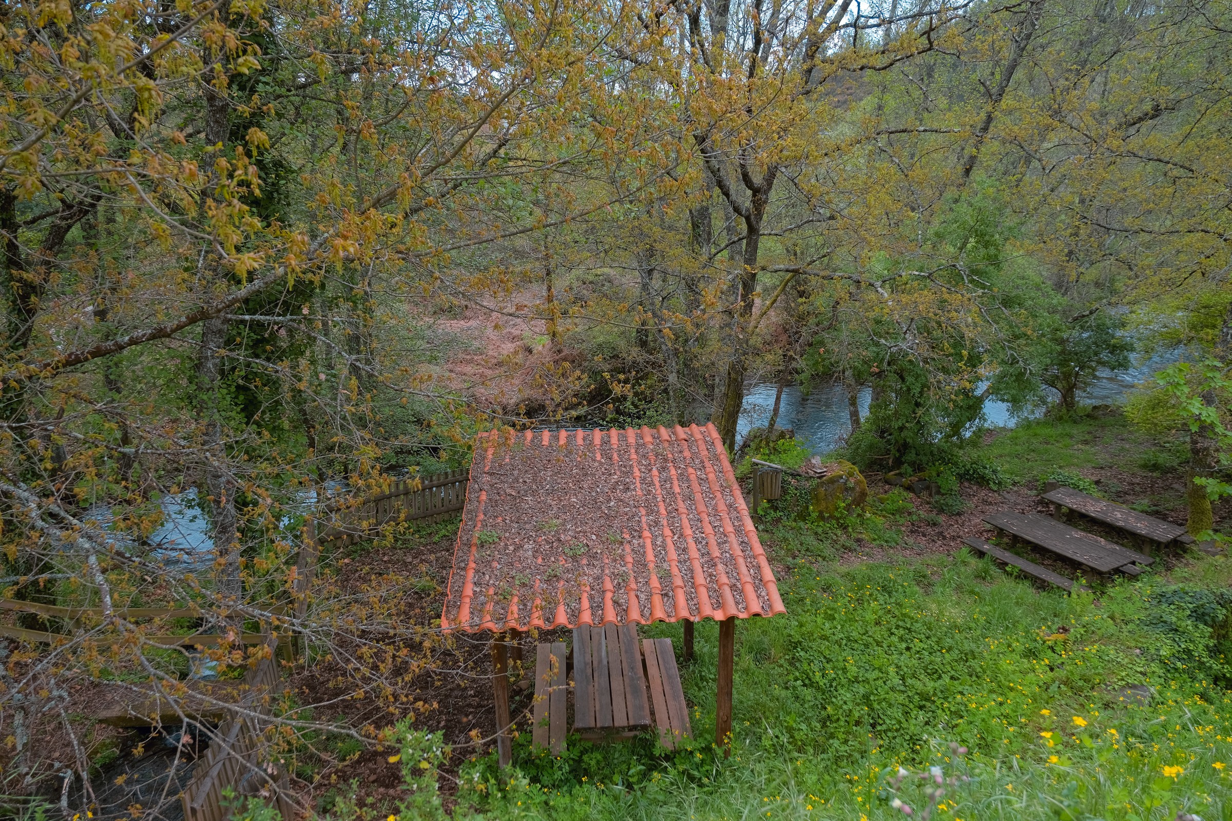 DSCF5606
