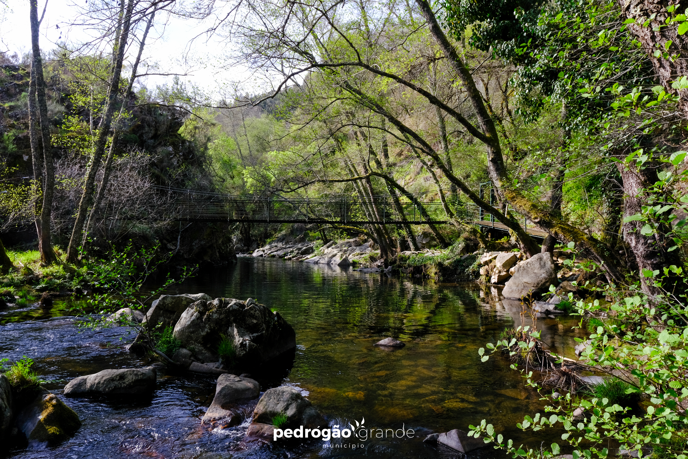 caminho_ponte_suspensa_3773