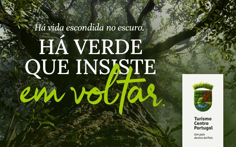 Centro de Portugal: Em Verde Vivo
